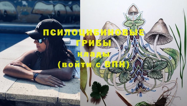 кокаин перу Нестеровская
