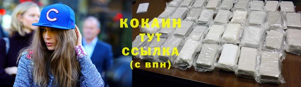 винт Верея