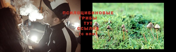 винт Верея