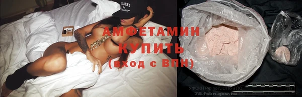 стаф Богданович