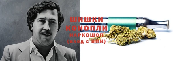 гидра Верхний Тагил