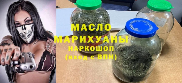 гидра Верхний Тагил