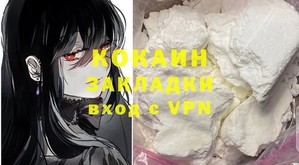 винт Верея