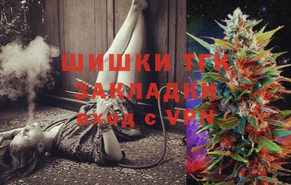 гидра Верхний Тагил
