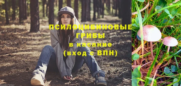 гидра Верхний Тагил