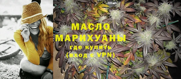 гидра Верхний Тагил