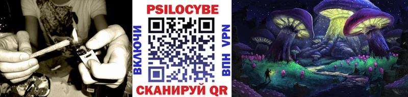Галлюциногенные грибы Psilocybe  Верея 